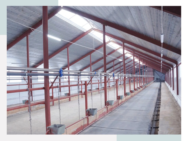 Строительство коровников в Бийске от 623 руб.