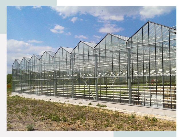Строительство теплиц в Бийск от 623 руб. за м²
